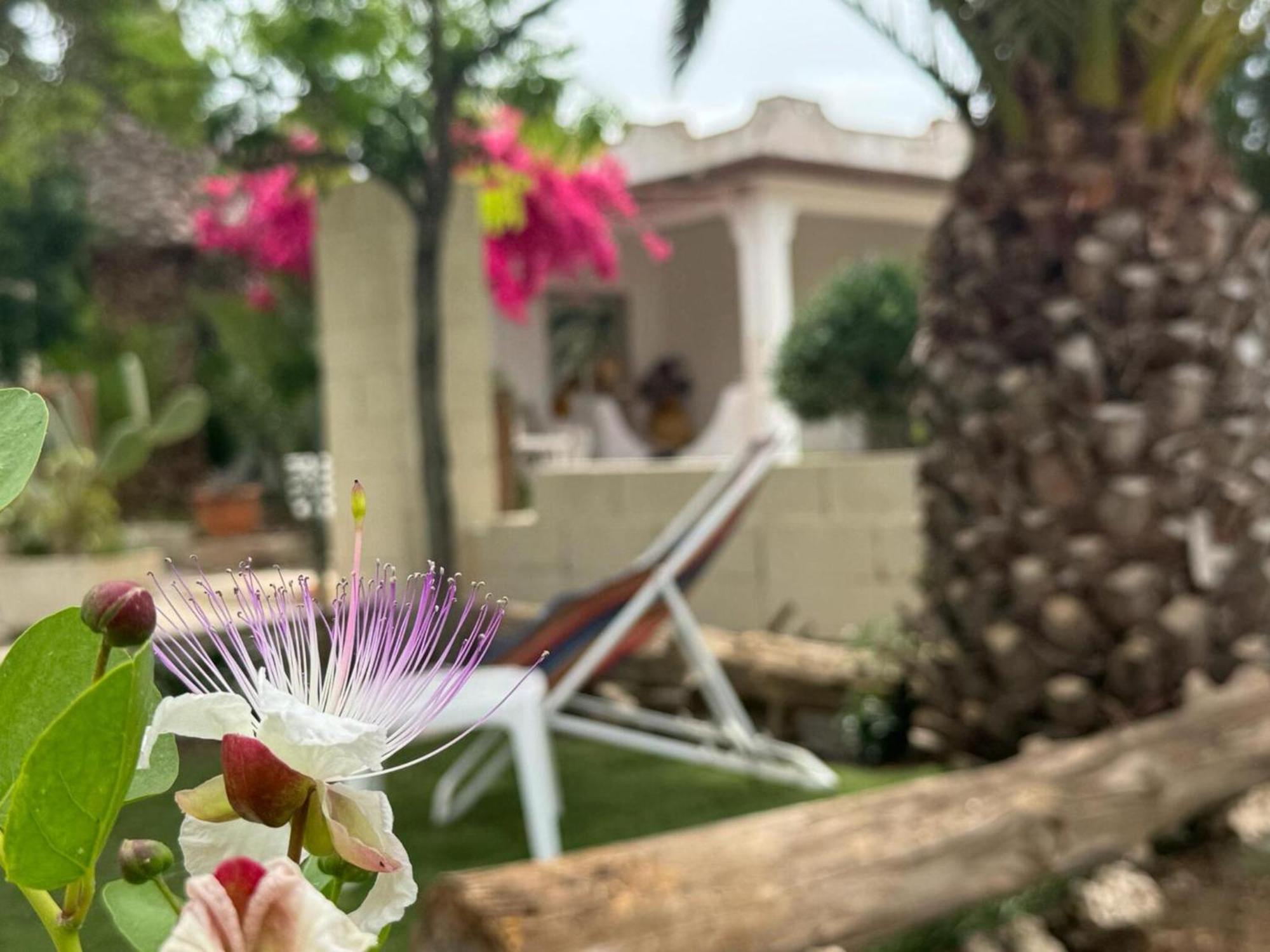 Villa Torretta - Mare Salento Marina di Lizzano Dış mekan fotoğraf