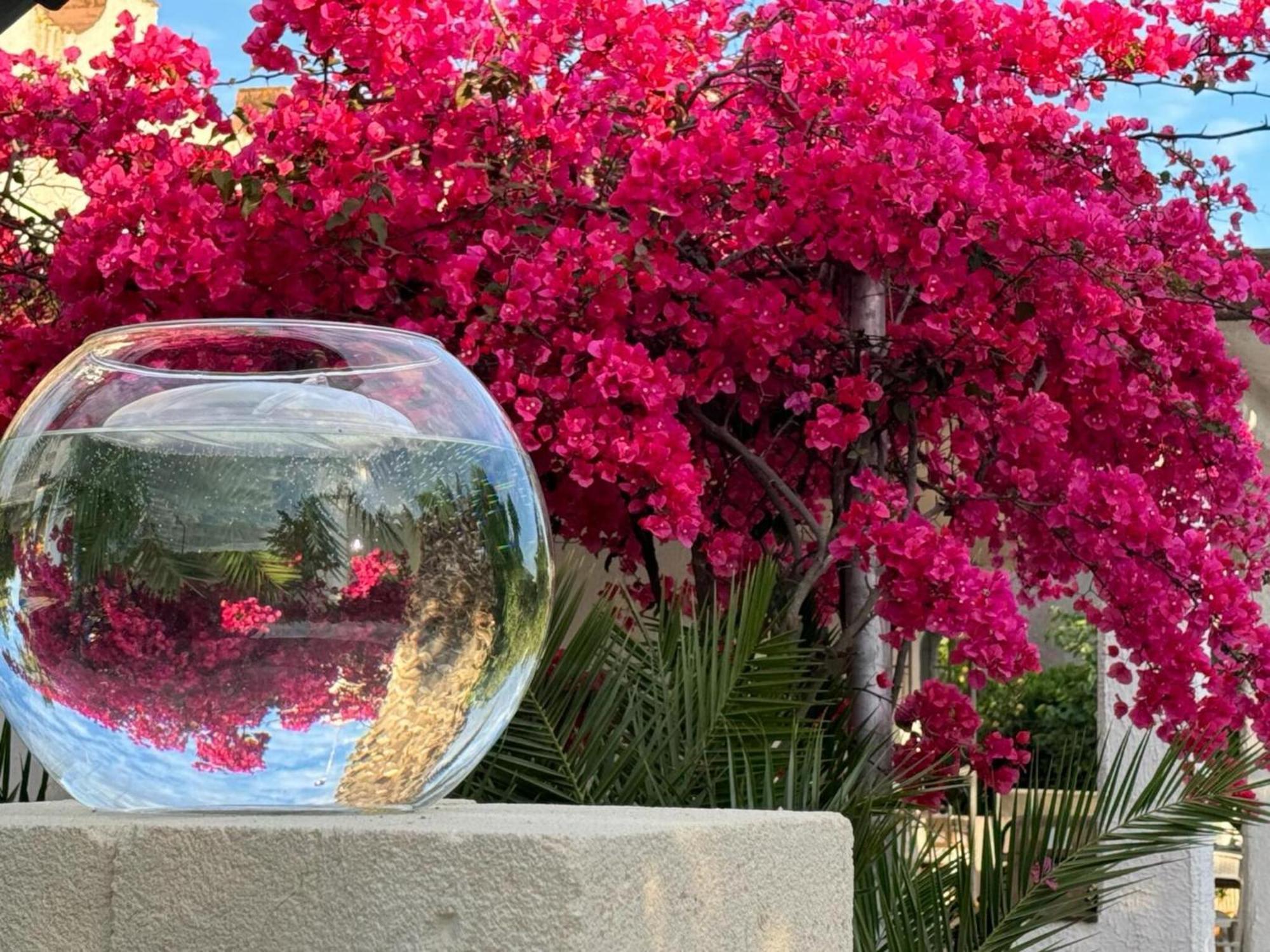 Villa Torretta - Mare Salento Marina di Lizzano Dış mekan fotoğraf