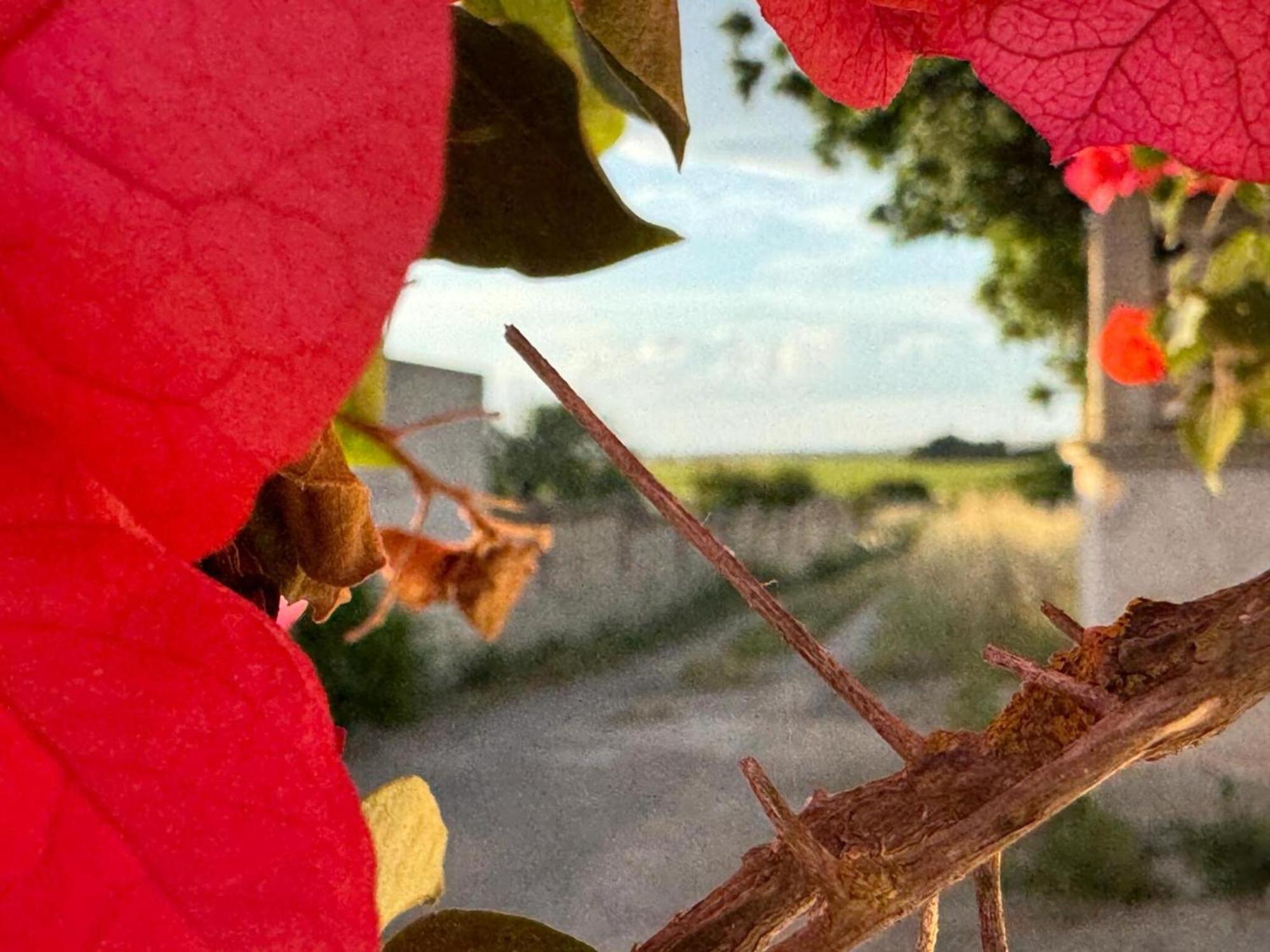 Villa Torretta - Mare Salento Marina di Lizzano Dış mekan fotoğraf