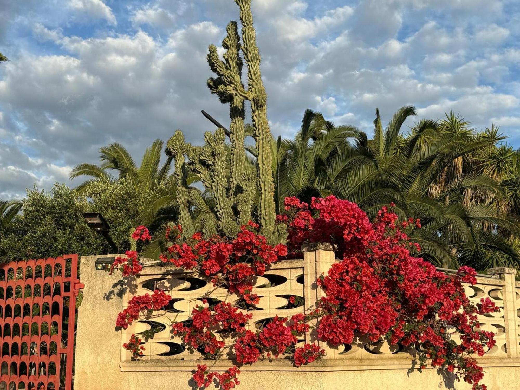 Villa Torretta - Mare Salento Marina di Lizzano Dış mekan fotoğraf