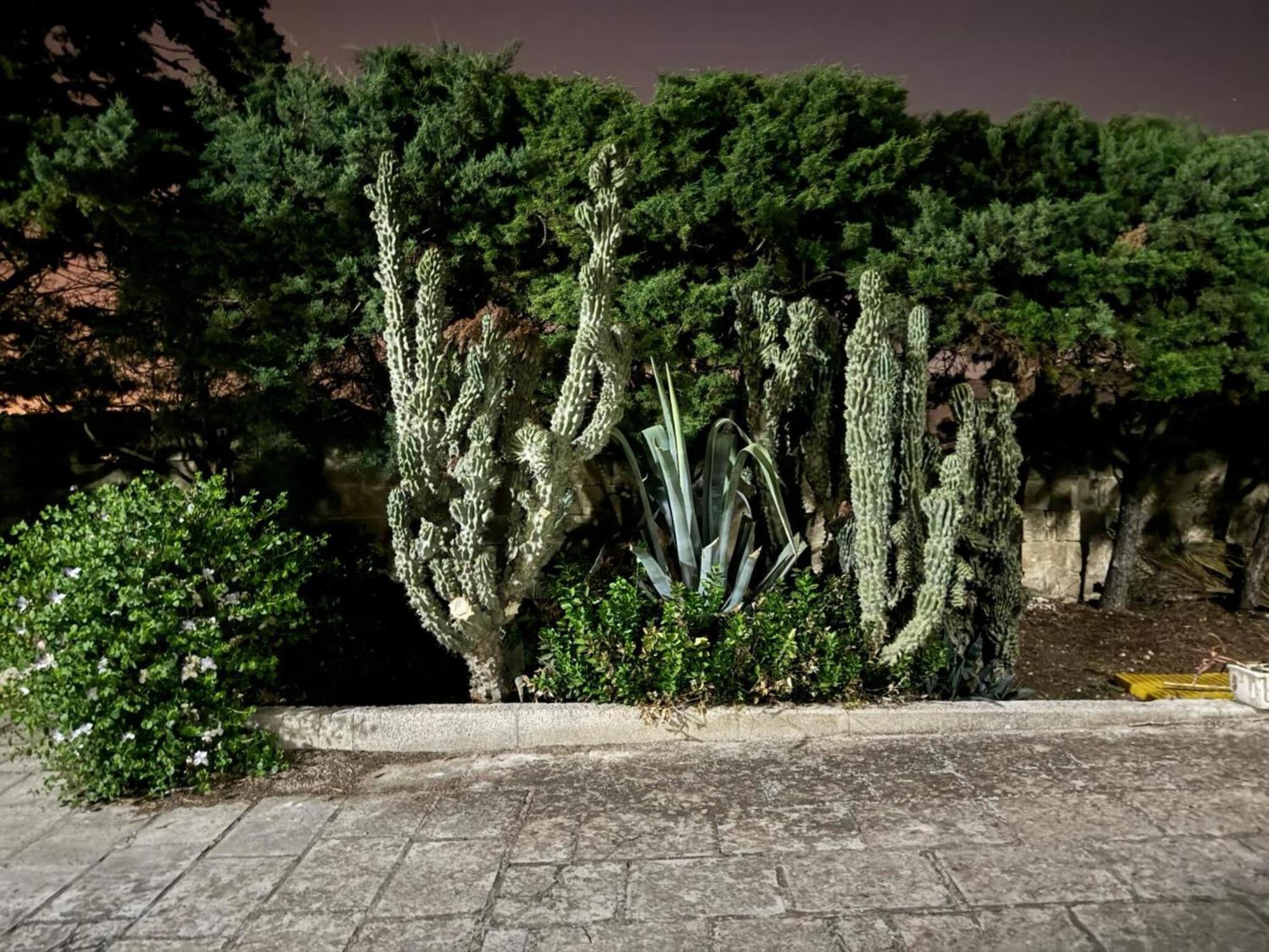 Villa Torretta - Mare Salento Marina di Lizzano Dış mekan fotoğraf