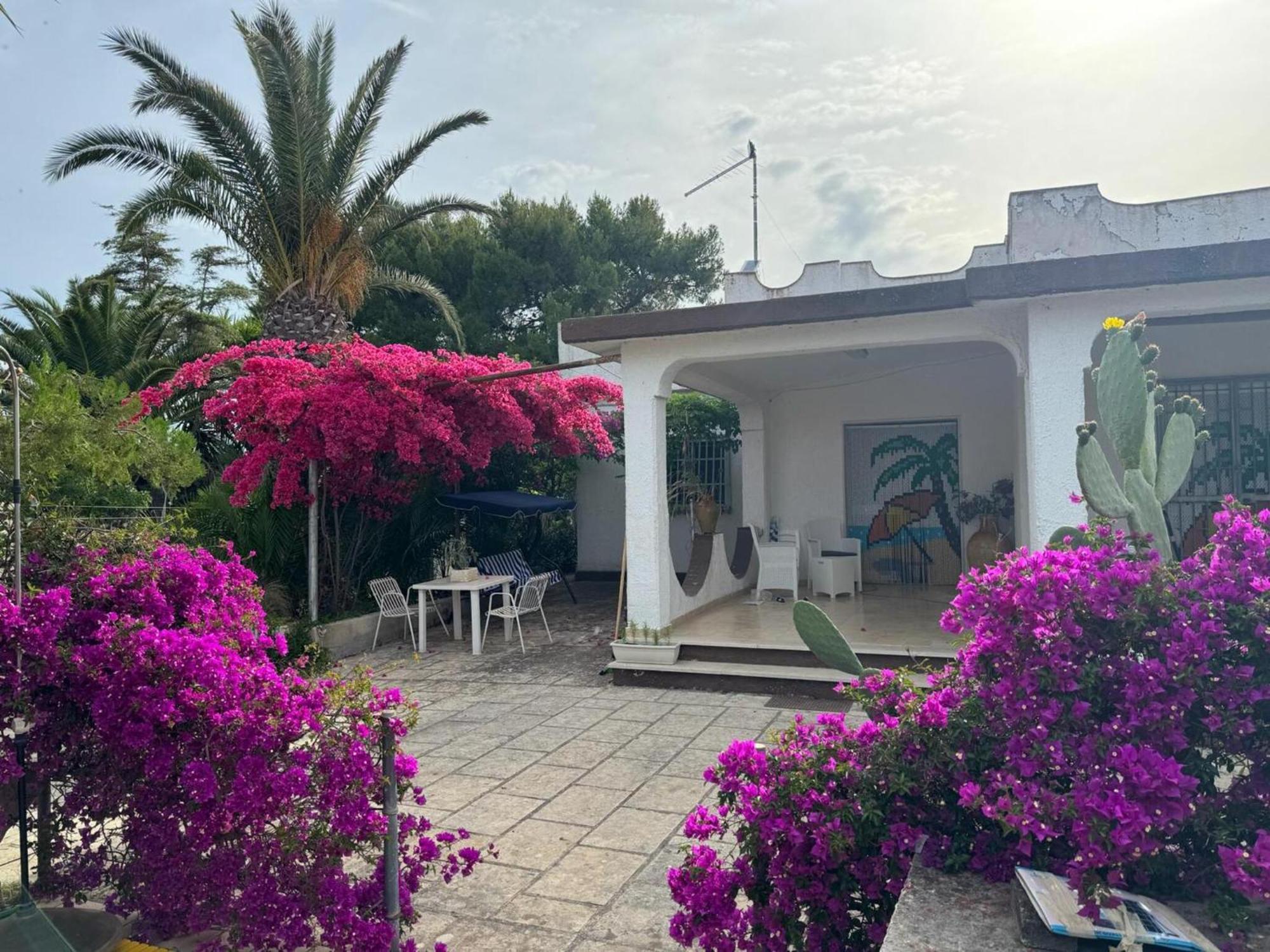 Villa Torretta - Mare Salento Marina di Lizzano Dış mekan fotoğraf