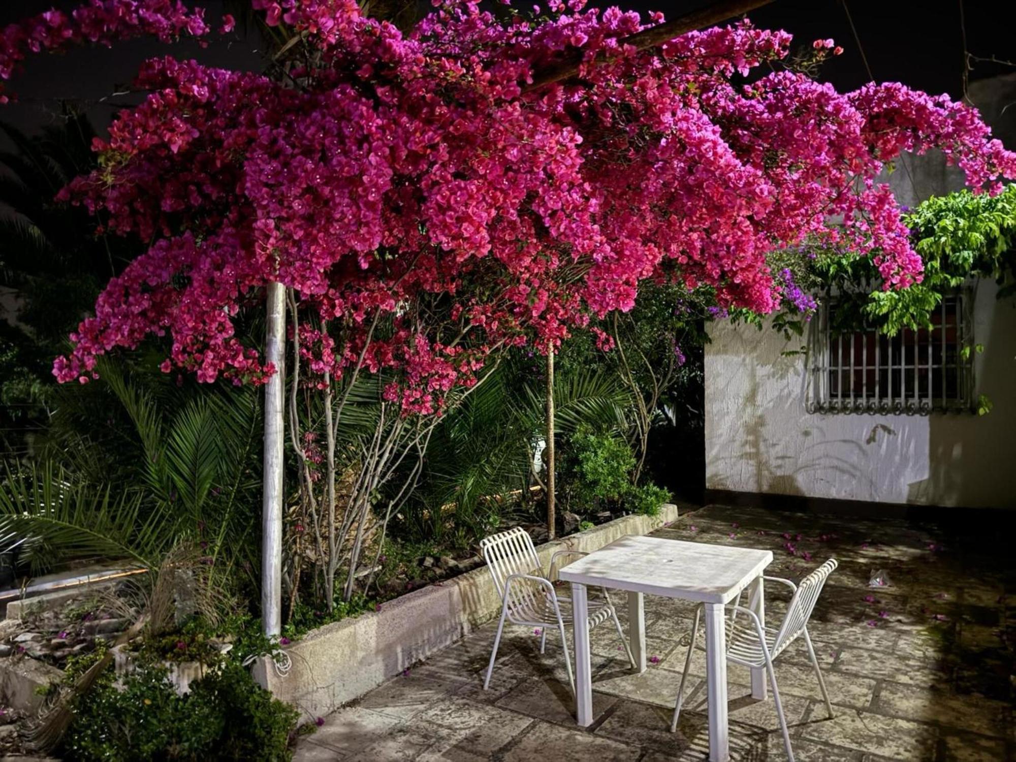 Villa Torretta - Mare Salento Marina di Lizzano Dış mekan fotoğraf