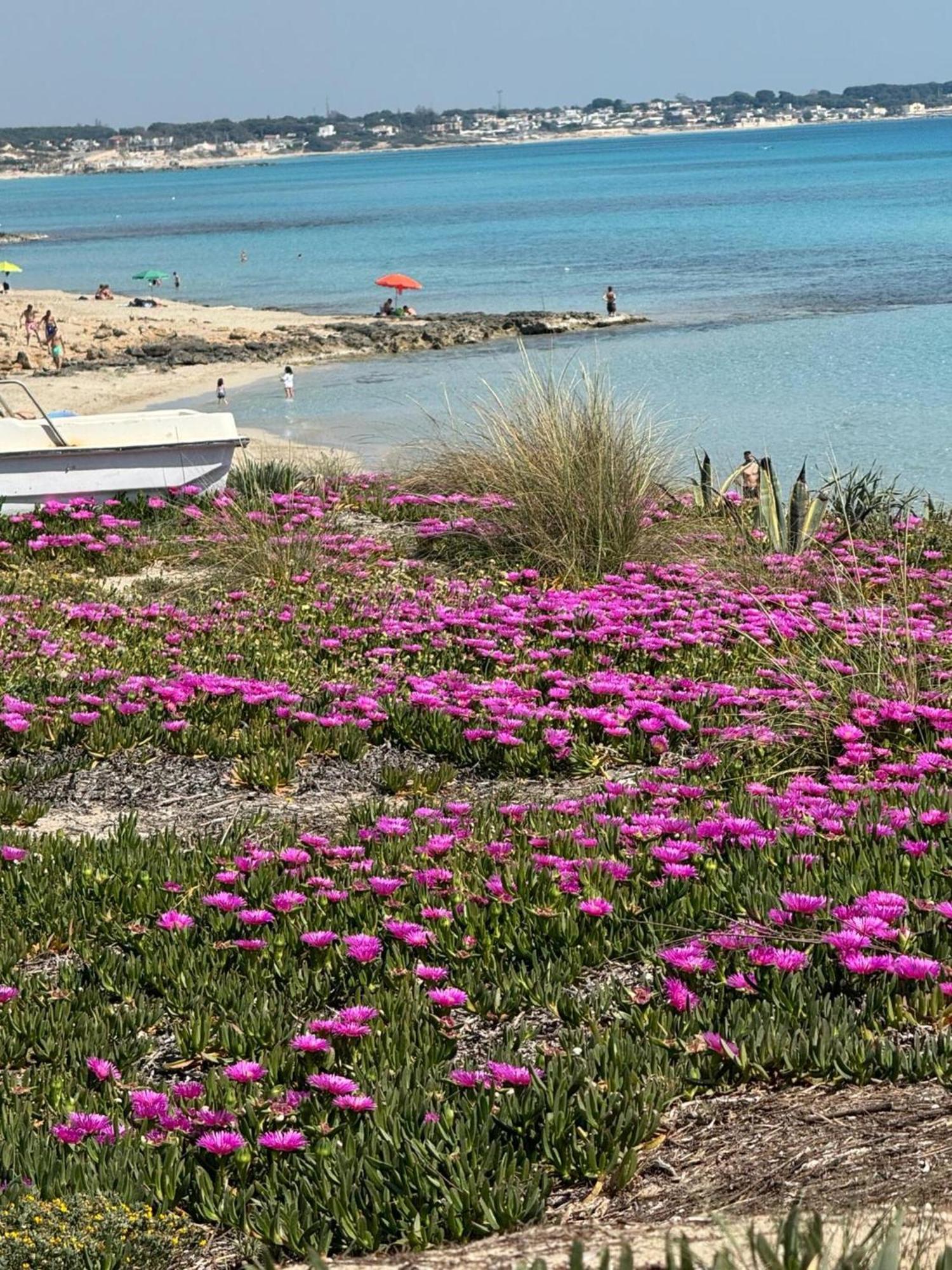 Villa Torretta - Mare Salento Marina di Lizzano Dış mekan fotoğraf